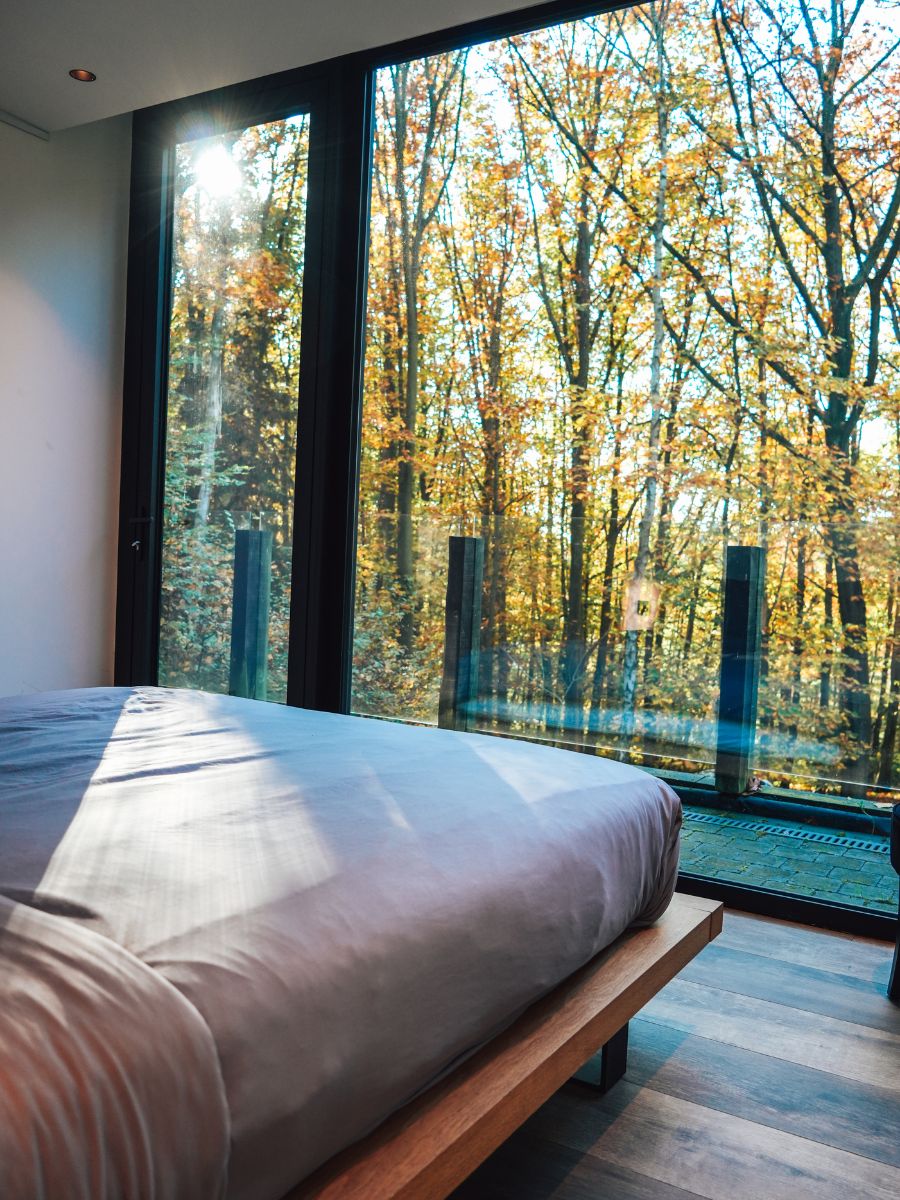 room with forest view